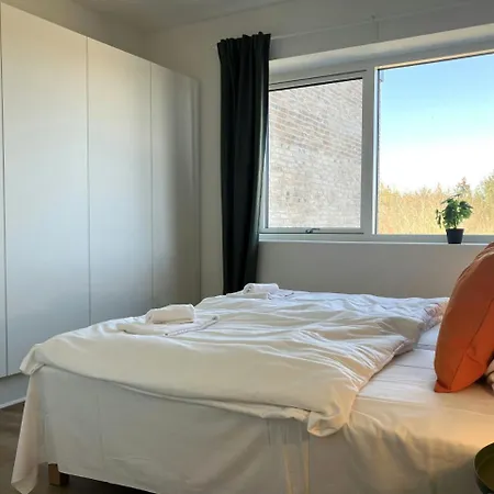 Spacious For 3 Apartment Odense