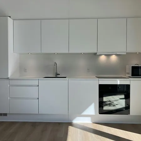 Spacious For 3 Odense