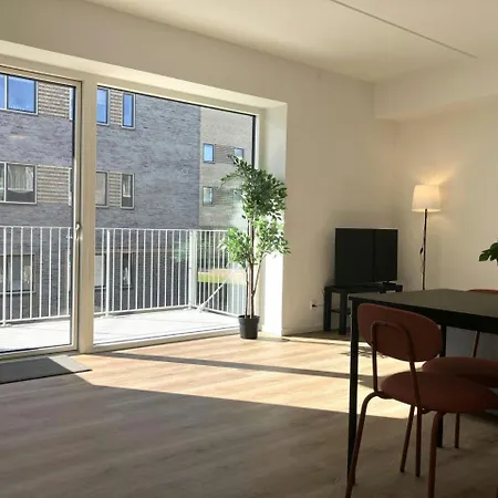 Spacious For 3 * Odense